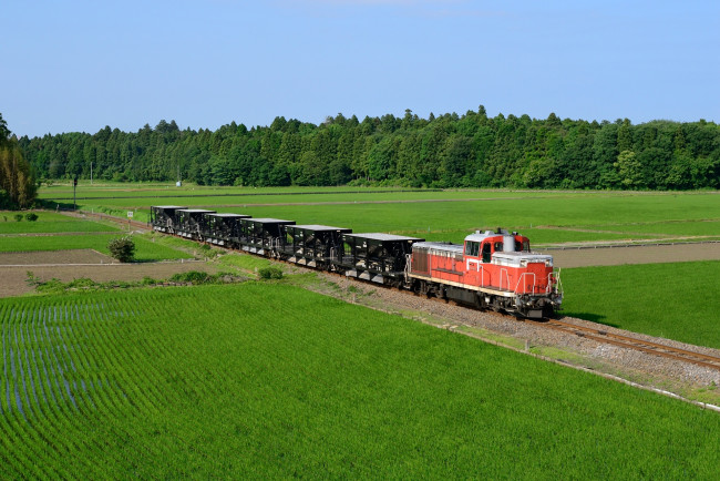 Обои картинки фото техника, поезда, поле, лоезд, рельсы, вагоны