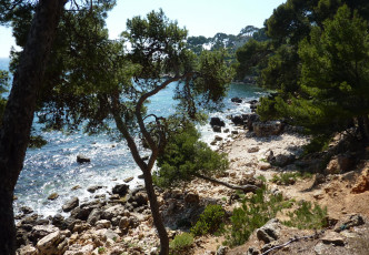 Картинка природа побережье скалы море бухта деревья