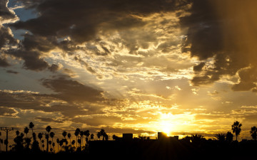 Картинка природа восходы закаты облака пальмы