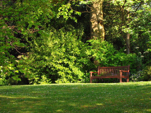 Обои картинки фото hill, garden, london, england, природа, парк, деревья, кусты, трава