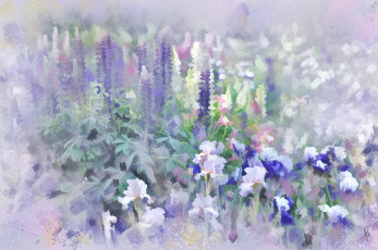 Картинка рисованные цветы ирисы