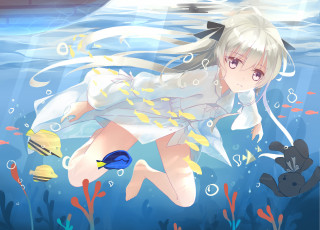 Картинка аниме yosuga+no+sora yosuga no sora kasugano l-l арт вода рыбки девочка взгляд