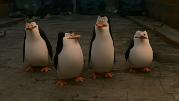 обоя мультфильмы, the penguins of madagascar, пингвины