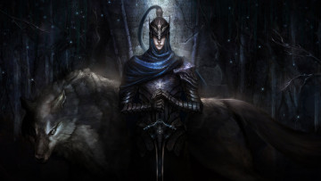 Картинка видео+игры ~~~другое~~~ boss artorias броня knight воин арт шлем волк dark souls of the abyss