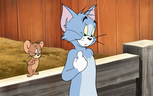 Обои картинки фото мультфильмы, tom and jerry, мышь, кот, забор