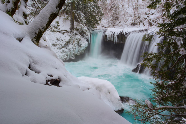 Обои картинки фото природа, водопады, деревья, водопад, зима, снег, лес
