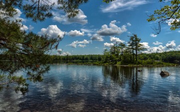 Картинка природа реки озера облака остров озеро ветки лес деревья