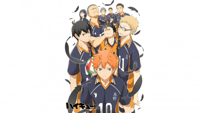 Обои картинки фото аниме, haikyuu, команда, парни, карасуно