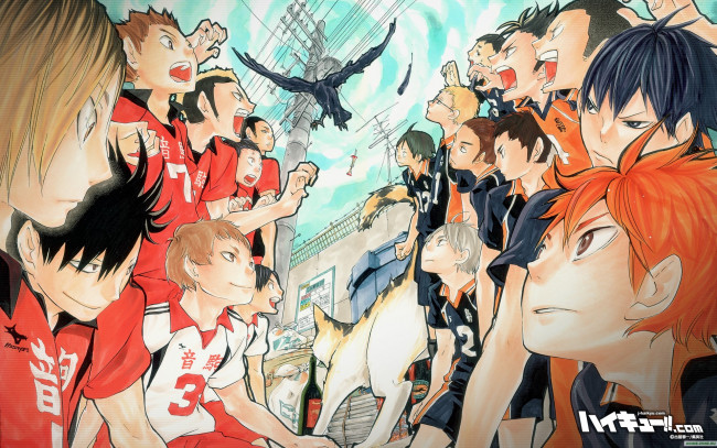 Обои картинки фото аниме, haikyuu, парни