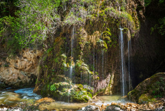 Картинка природа водопады вода растения