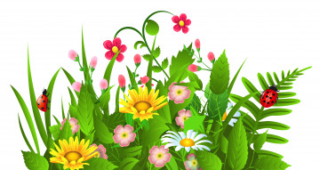 Картинка векторная+графика цветы+ flowers фон цветы