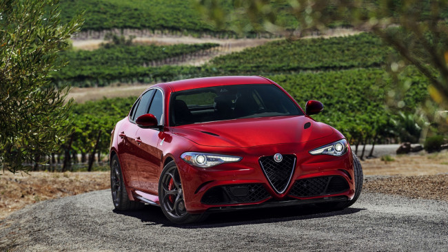 Обои картинки фото alfa romeo giulia quadrifoglio 2017, автомобили, alfa romeo, 2017, quadrifoglio, giulia, alfa, romeo