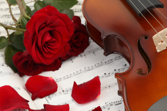 обоя музыка, -музыкальные инструменты, скрипка, цветы, ноты