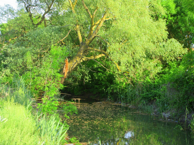 Обои картинки фото природа, реки, озера, весна, 2018