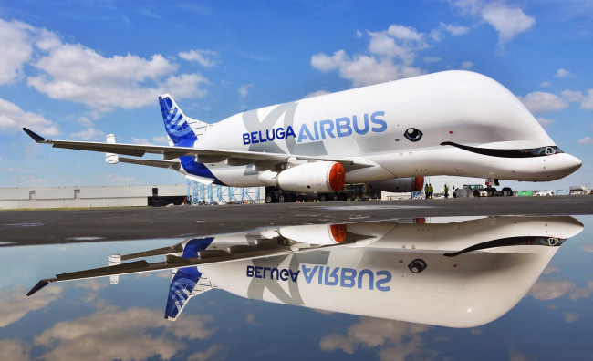 Обои картинки фото авиация, грузовые самолёты, beluga, airbus, reymondon, by, самолёт, a300, отражение, xl, грузовой, самолет, super, transporter