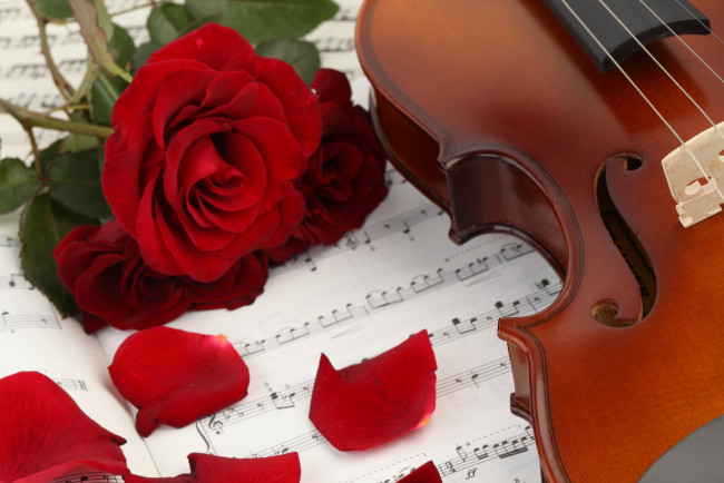Обои картинки фото музыка, -музыкальные инструменты, скрипка, цветы, ноты