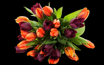 Картинка цветы букеты +композиции тюльпаны