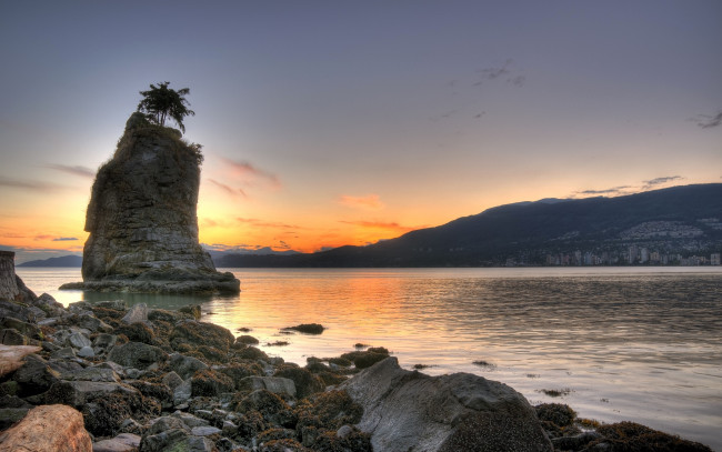 Обои картинки фото природа, побережье, дерево, камни, скала