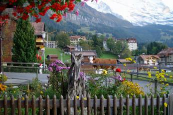 обоя швейцария, берн, города, цветы, дома, фонари, коровы