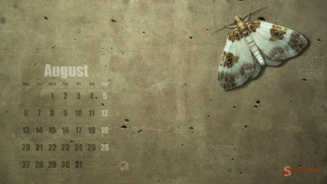 Картинка календари животные бабочка