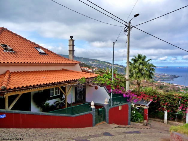 Обои картинки фото португалия, madeira, санта, круш, города, улицы, площади, набережные, пальмы, побережье, дом, море