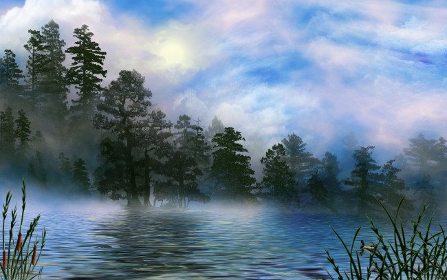 Обои картинки фото foggy, breakdown, 3д, графика, nature, landscape, природа, озеро, лес, утка, туман