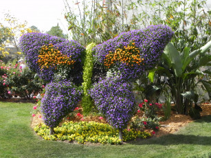 Картинка epcot international flower and garden festival природа парк цветы композиции