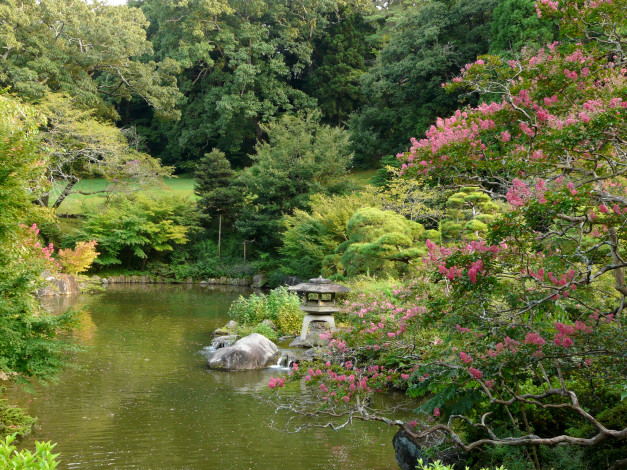 Обои картинки фото Япония, нарита, природа, парк, водоем, растения