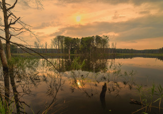 Картинка природа реки озера лес река тучи сумрак