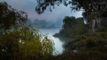 Картинка природа реки озера туманное утро