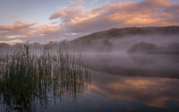 Картинка природа реки озера утро туман озеро лес холм