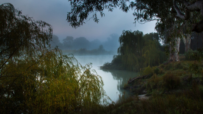 Обои картинки фото природа, реки, озера, туманное, утро