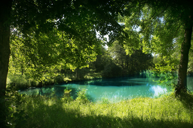 Обои картинки фото природа, реки, озера, лето, река, эссинг, германия, бавария, деревья