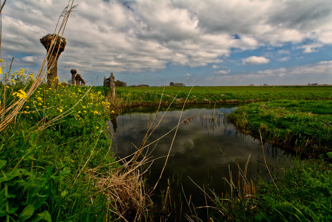 Обои картинки фото природа, реки, озера, поле, речка, трава, цветы