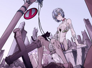 Картинка аниме evangelion фон взгляд девушка