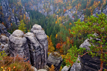Картинка германия природа пейзажи деревья камни