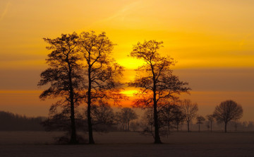 Картинка природа восходы закаты деревья