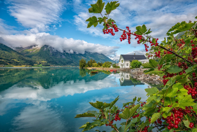 Обои картинки фото города, - здания,  дома, горы, озеро, дом, отражение, ягоды, лодки, норвегия, красная, смородина