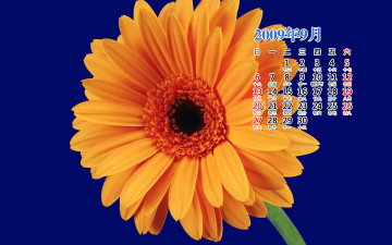 Картинка календари цветы