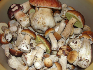 обоя еда, грибы, грибные, блюда