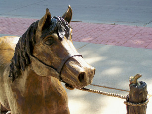 Картинка разное рельефы статуи музейные экспонаты лошадь