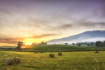 Картинка природа поля восход утро пейзаж