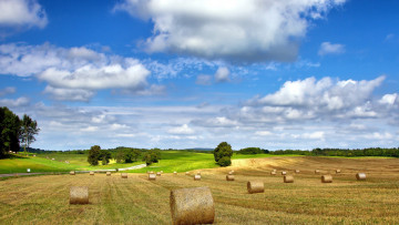 Картинка природа поля лето сено поле