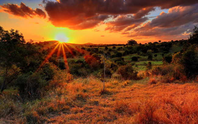 Обои картинки фото природа, восходы, закаты, поле, холмы, трава, солнце, деревья, тучи, лучи, свет