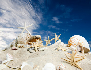 обоя разное, ракушки,  кораллы,  декоративные и spa-камни, sky, sand, summer, sunshine, seashells, sea, beach, starfishes, песок, звезды, пляж, море, солнце