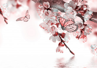 Картинка разное компьютерный+дизайн вода бабочка весна цветение цветочки веточки