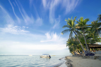 Картинка корабли лодки +шлюпки пляж пальмы океан