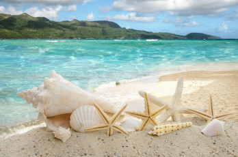 обоя разное, ракушки,  кораллы,  декоративные и spa-камни, звезды, пляж, море, sea, sand, summer, песок, sunshine, beach, starfishes, seashells, солнце