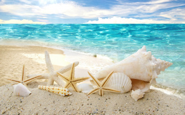 обоя разное, ракушки,  кораллы,  декоративные и spa-камни, summer, море, песок, sunshine, солнце, sea, beach, seashells, starfishes, пляж, звезды, sky, sand