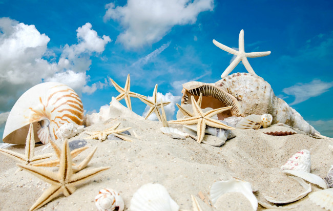 Обои картинки фото разное, ракушки,  кораллы,  декоративные и spa-камни, sky, sand, summer, sunshine, sea, beach, starfishes, seashells, море, солнце, песок, пляж, звезды